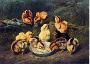 unknow artist chickens 197 Sweden oil painting artist